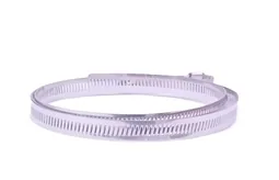 Stainless steel hose clamp